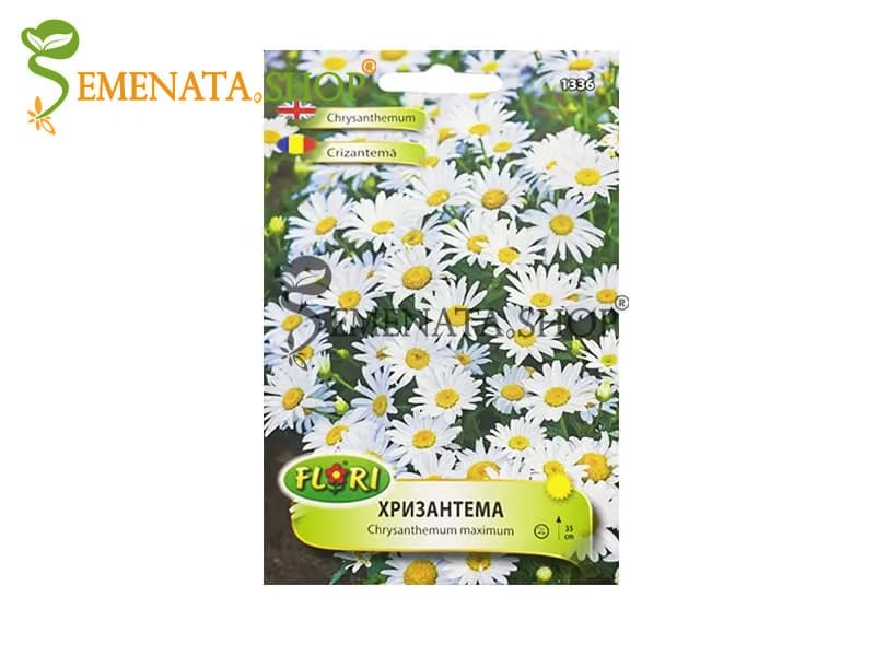 Семена на ниска Хризантема Бяла - Chrysanthemum maximum (до 35 см височина) Семена на ниска Хризантема Бяла - Chrysanthemum maximum (до 35 см височина)
